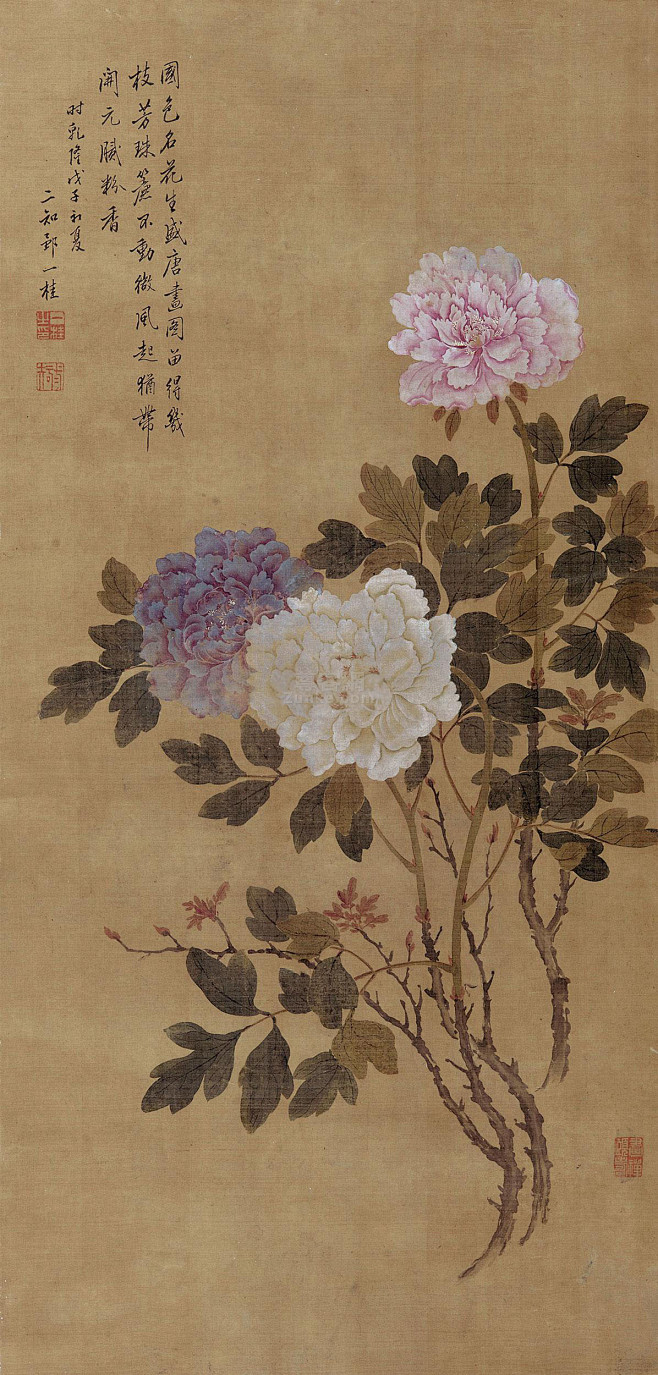 邹一桂邹一桂款戊子1768年作国色天香立轴作品欣赏