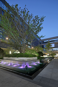 景物——公建-花瓣网|陪你做生活的设计师 | 诺华公司总部办公景观