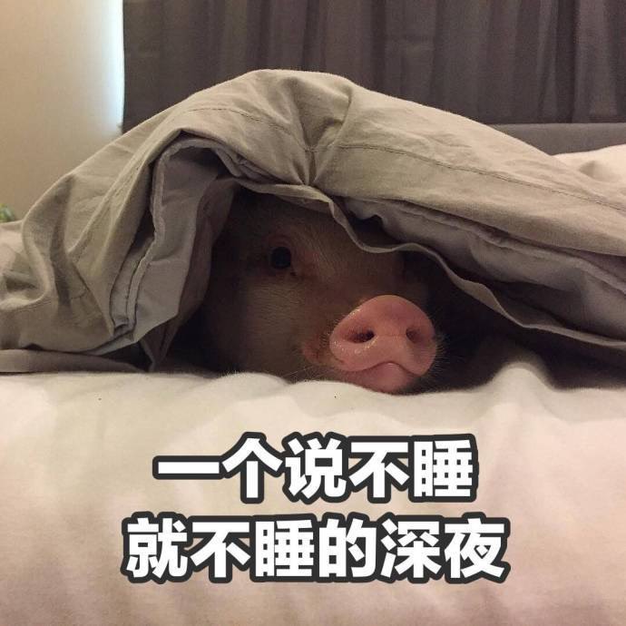 Rainie_Hu