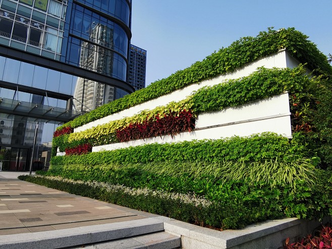 墙体垂直绿化