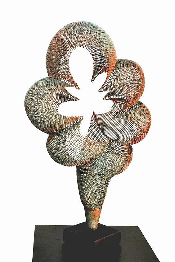 ericboyerthoughtbubble2017bronzepatinasteelwiremesh21x12x7