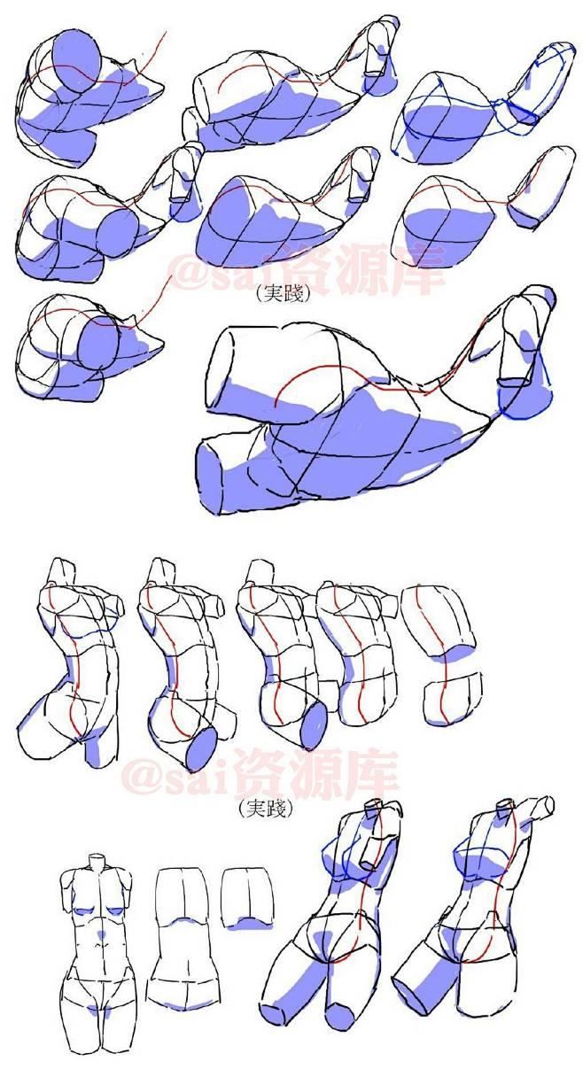 女人体结构半侧面仰视趴躺6