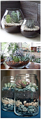 plants with bottles
