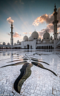 Sheikh Zayed Mosque, Abu Dhabi, United Arab Emirates。扎耶德清真寺是阿联酋最大的清真寺，世界第六大清真寺。耗资五十五亿美元，整个建筑群用希腊汉白玉包裹着，雪白的大理石圆顶及墙面，在阳光下隐隐发亮，白得一尘不染，而那些精美的雕刻则是来自中国工匠的手艺。