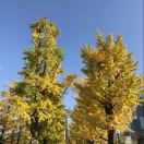 不负芳华