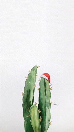 动植物手绘插画