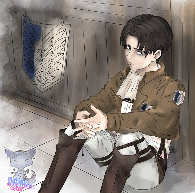 captain levi by shiy.