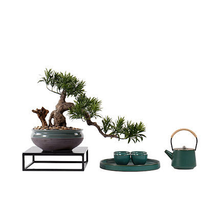 新中式盆景茶具组合摆件样板房客厅禅意茶室茶台茶几创意软装饰品
