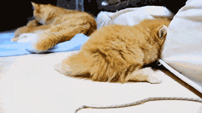 转采于2013-10-25 08:52:40gif·断·舍·离·该采集也在以下画板加载