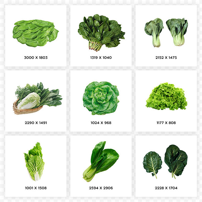 绿叶菜图片及名称图片