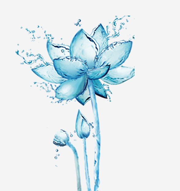 高清蓝色水莲花png