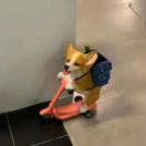东海洪