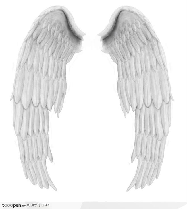 白色翅膀头像图片