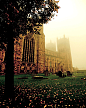 Foggy, Durham Cathedral, England
photo via morgan