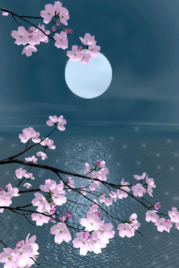 一种感觉看透苍茫宠辱不惊一种豁达大智大慧大彻大悟一种心境花开花谢