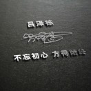 无敌猫猫王