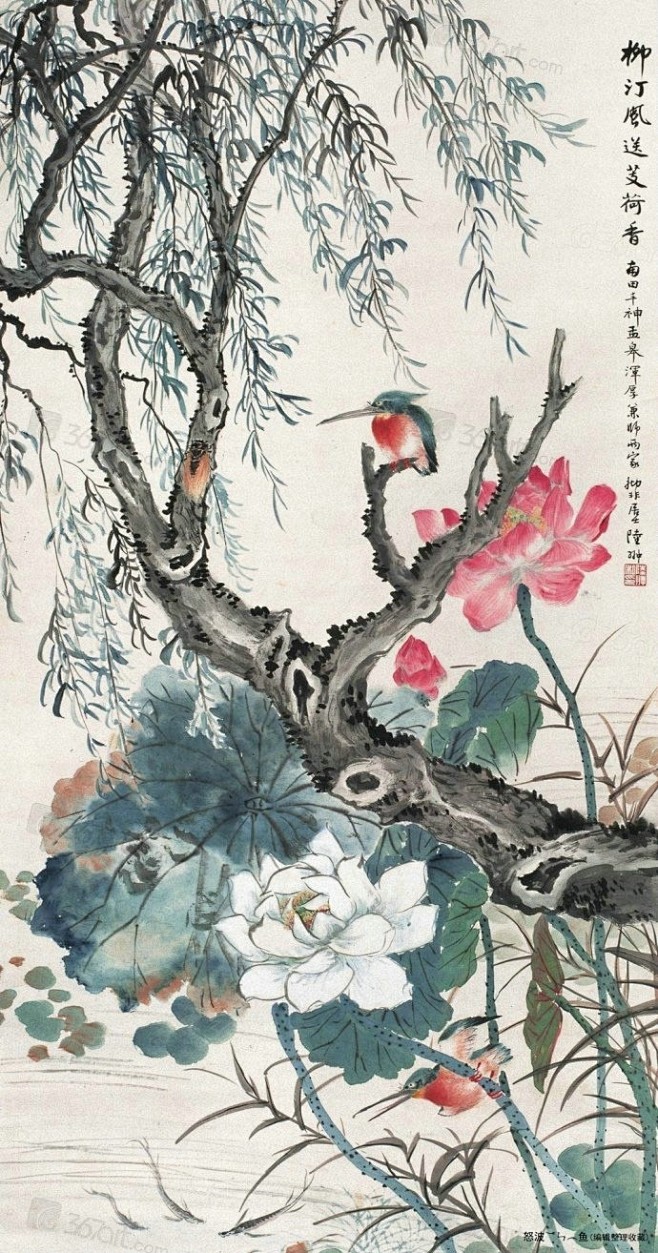 荷花翠鸟图