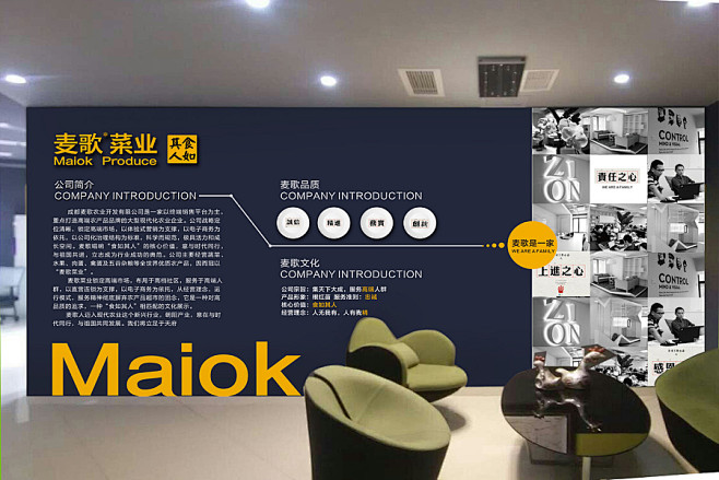 品牌展示墙文化墙项目展示墙847