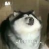 Xinyuaaaa