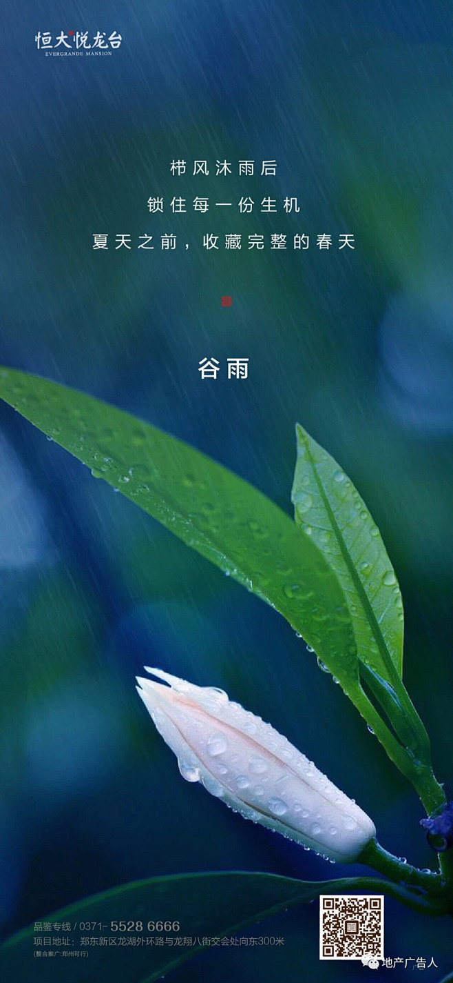 谷雨节气