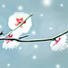 旧曾荫