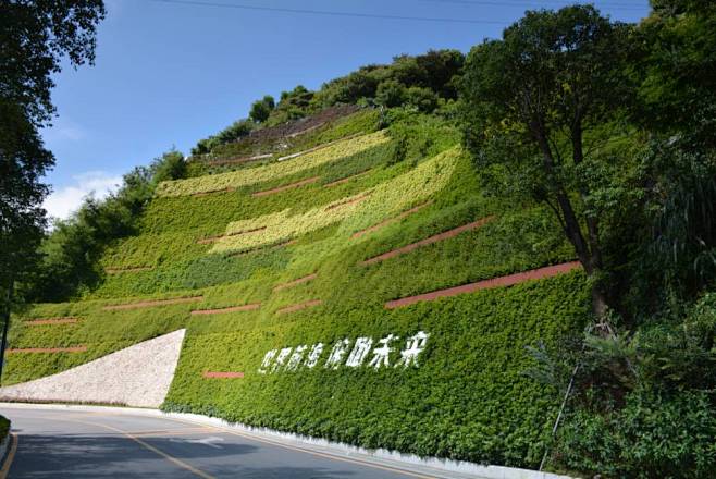 半山半畫卷一方一傾城深圳最美立體綠化景觀邊坡