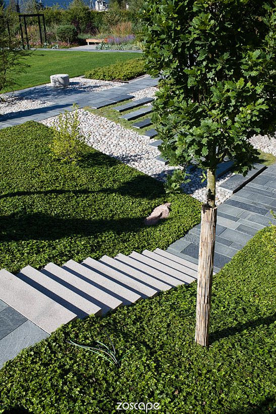 植物配置植物景观zoscape规则式种植