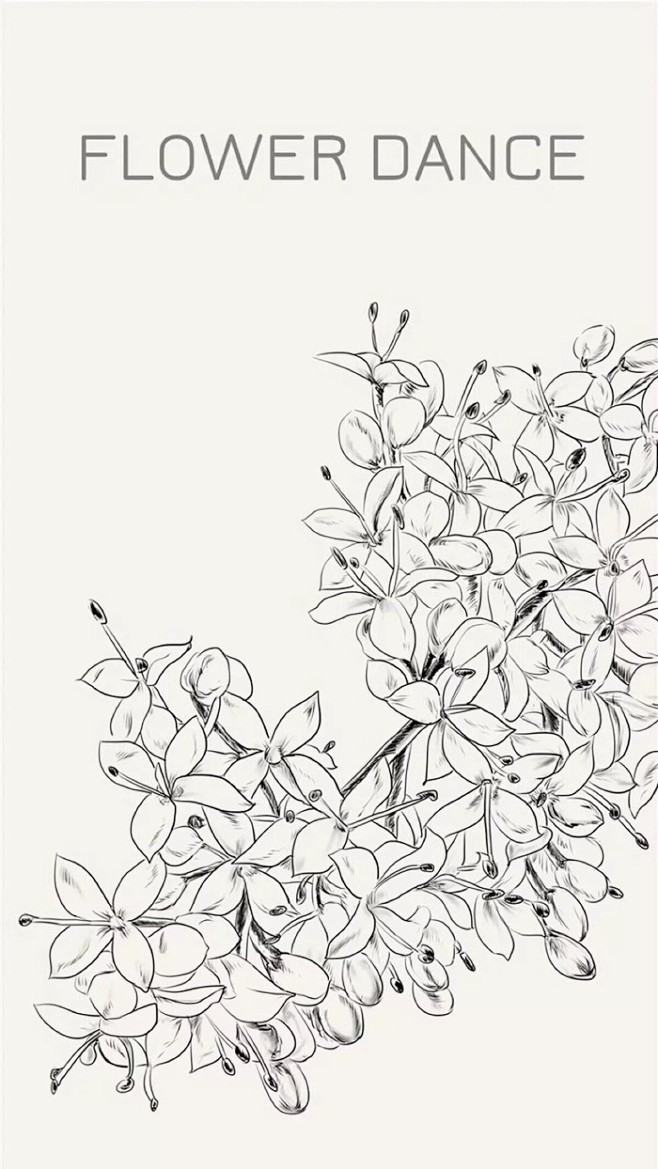 插画线稿黑白彩色装饰画手绘花作者不明