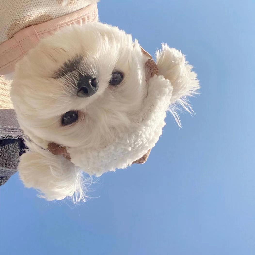 龙萌萌哒^O^
