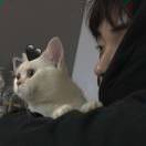 尤ni