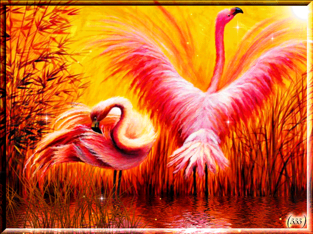 蓝蝶-幻影通过花瓣chrome扩展采集于2016-08-12 14:12:43flamingo1