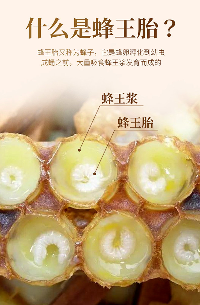 然生蜂王胎片天然正品卵巢女性冻干片粉幼虫雄风蜂王浆皇胎片60gtmall