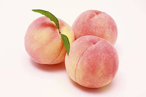 水果创意素材视觉中国创意创意图片视觉中国集团中国领先的创意图片