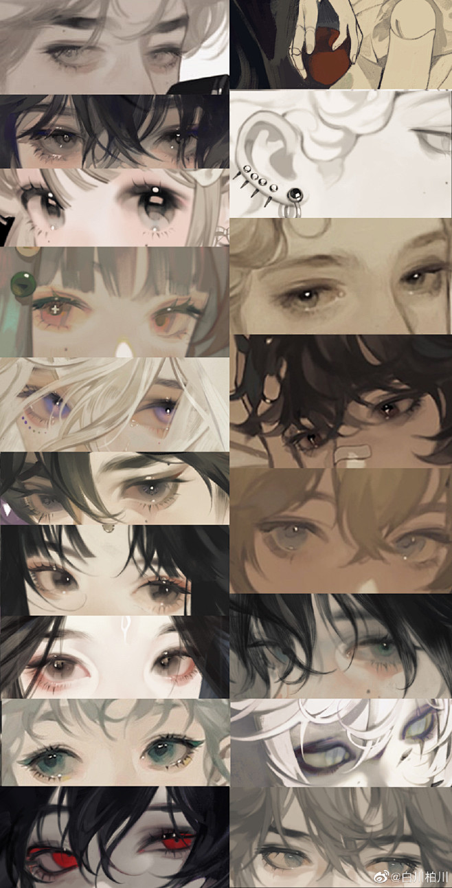 白川柏川的微博微博