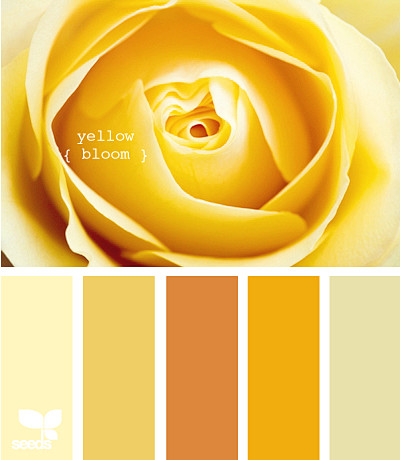 yellow2bloom色卡黄色