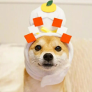 8JZLJwzv