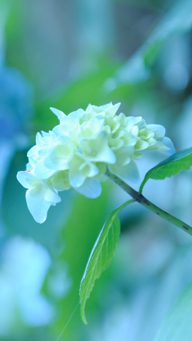 夏天那抹蓝色