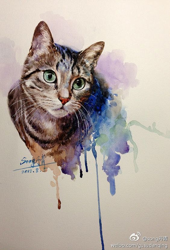 手绘水彩猫插画