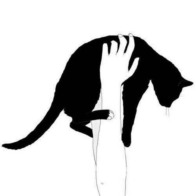 头像黑白猫咪插画