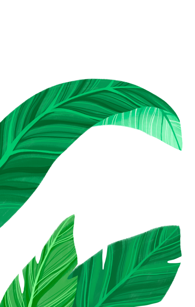 png透明背景素材