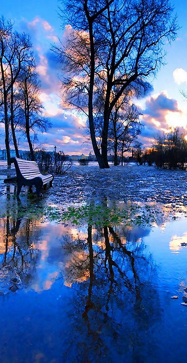 73柠檬从白驹过隙丶梨花泪う转采于2020-11-01 11:16:35唯美意境