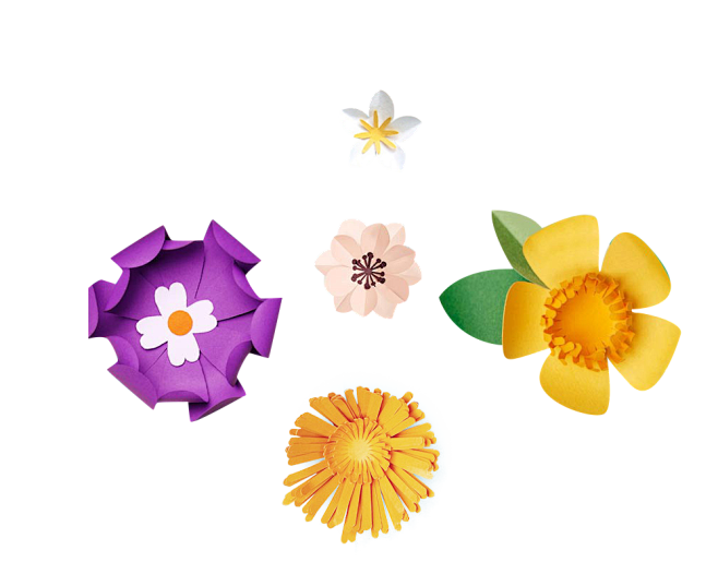 纸花png
