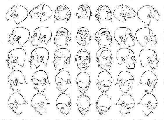 绘画教程头部各种角度的绘画参考学画画素材分享