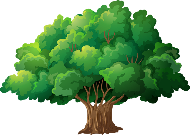 大树png