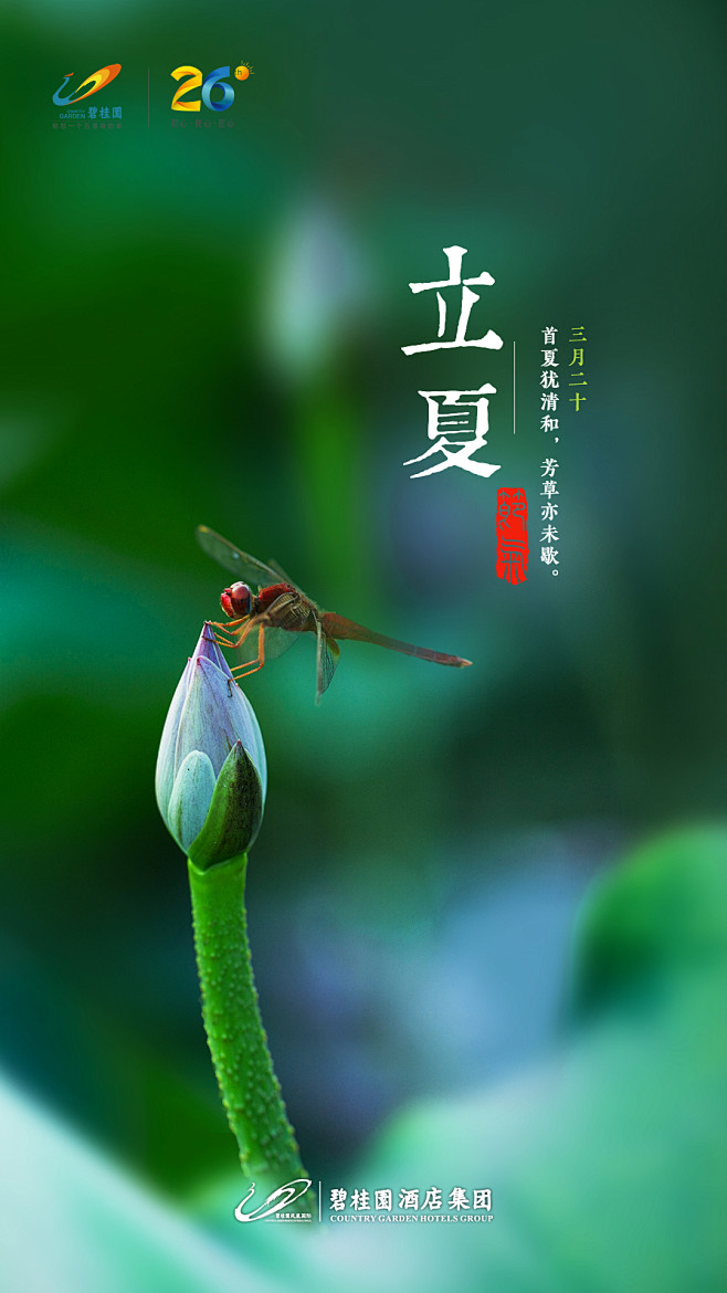 艾可2020从吖ci转采于2020-11-09 08:43:59立夏节气节日艾可2020该
