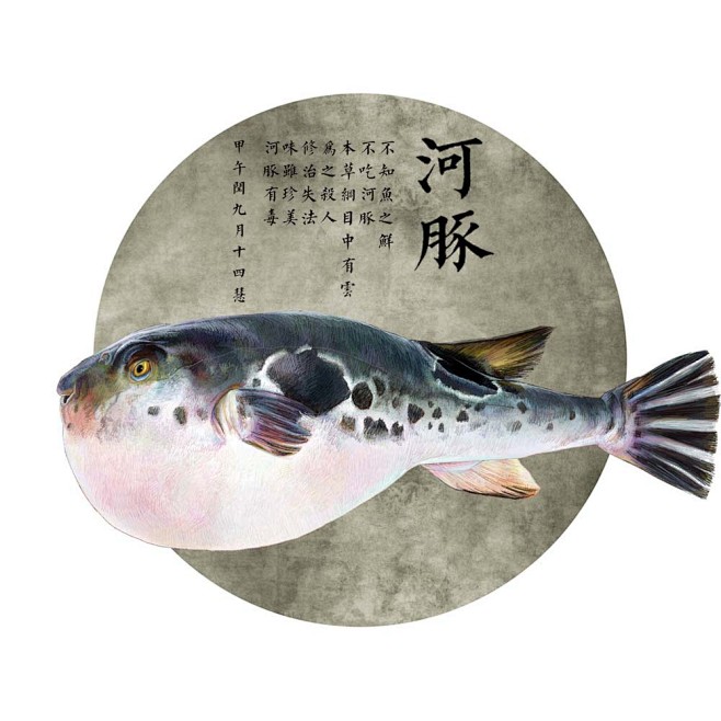 11:38:02海鲜手绘——河豚4441226yrm该采集也在以下画板加载更多