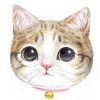 糖猫M