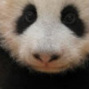 潘笑人