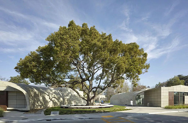 治愈系那些人文关怀的医院景观设计愿每个病人都被温柔以待