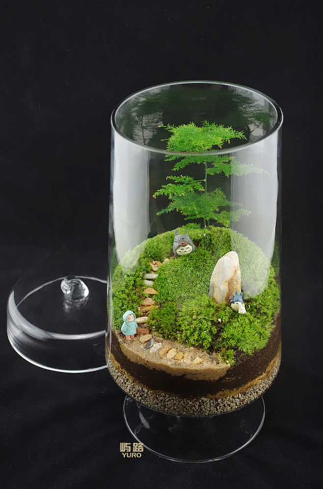 屿路生活苔藓微景观苔藓生态瓶苔藓盆栽宫崎骏龙猫